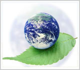/uploads/Home.Pic.Oth.4.jpg