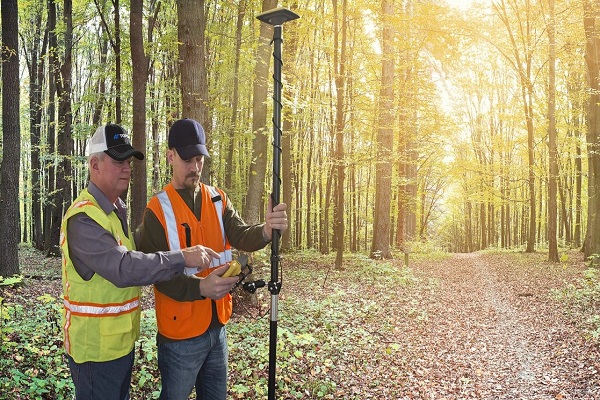 Forestry