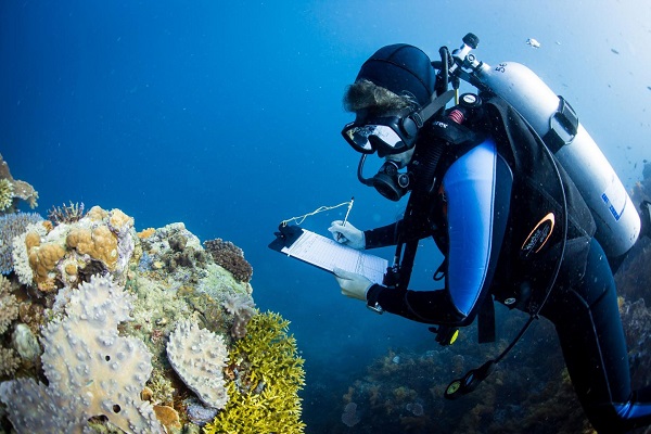 Marine Biology