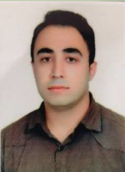 مجتبی رجبی