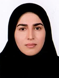 سیده فاطمه پورحمیدیان