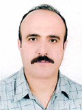 هادی شاهینی